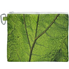 Butterbur Leaf Plant Veins Pattern Canvas Cosmetic Bag (xxxl)