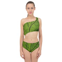 Butterbur Leaf Plant Veins Pattern Spliced Up Two Piece Swimsuit