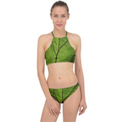 Butterbur Leaf Plant Veins Pattern Racer Front Bikini Set by Sapixe