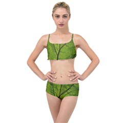 Butterbur Leaf Plant Veins Pattern Layered Top Bikini Set by Sapixe