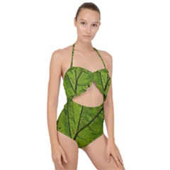 Butterbur Leaf Plant Veins Pattern Scallop Top Cut Out Swimsuit