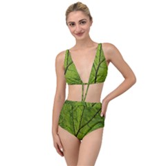 Butterbur Leaf Plant Veins Pattern Tied Up Two Piece Swimsuit