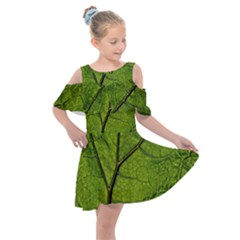 Butterbur Leaf Plant Veins Pattern Kids  Shoulder Cutout Chiffon Dress