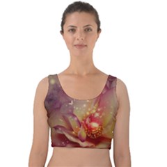 Wonderful Roses With Butterflies And Light Effects Velvet Crop Top by FantasyWorld7