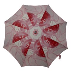 Red Dwarf Hook Handle Umbrellas (medium) by WILLBIRDWELL