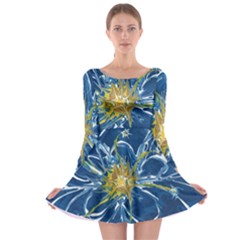 Blue Star Flower Long Sleeve Skater Dress