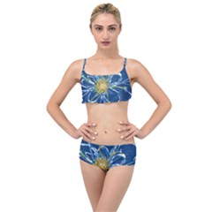 Blue Star Flower Layered Top Bikini Set