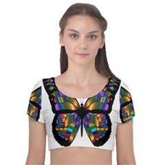 Abstract Animal Art Butterfly Velvet Short Sleeve Crop Top 