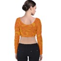 Pop Orange Velvet Long Sleeve Crop Top View2