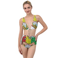 Theconnect Tied Up Two Piece Swimsuit