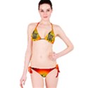 Wonderful Heart With Butterflies And Floral Elements Classic Bikini Set View3