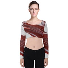 Ruby Pillars Velvet Long Sleeve Crop Top