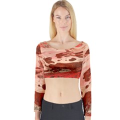 Acid Rain Long Sleeve Crop Top by WILLBIRDWELL