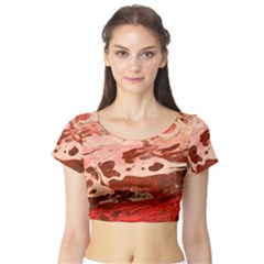 Acid Rain Short Sleeve Crop Top by WILLBIRDWELL