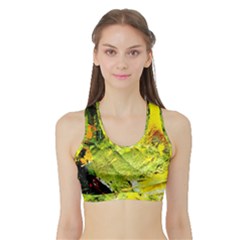 Yellow Chik 5 Sports Bra With Border by bestdesignintheworld