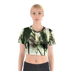 There Is No Promisse Rain 4 Cotton Crop Top by bestdesignintheworld