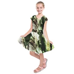 There Is No Promisse Rain 4 Kids  Short Sleeve Dress