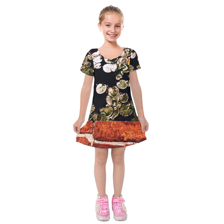 Highland Park 4 Kids  Short Sleeve Velvet Dress