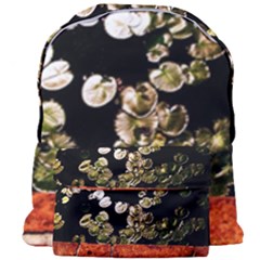 Highland Park 4 Giant Full Print Backpack