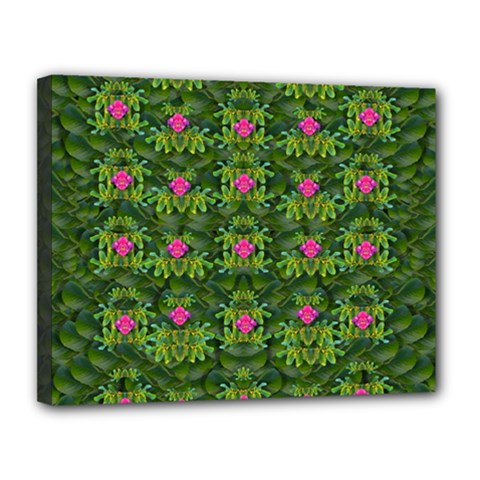 The Most Sacred Lotus Pond With Fantasy Bloom Canvas 14  X 11  (stretched) by pepitasart