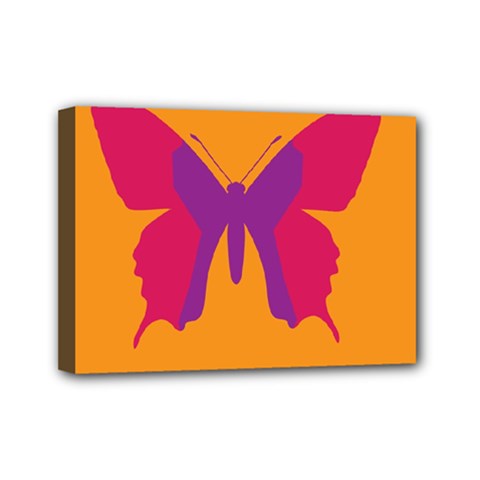 Butterfly Wings Insect Nature Mini Canvas 7  X 5  (stretched) by Nexatart