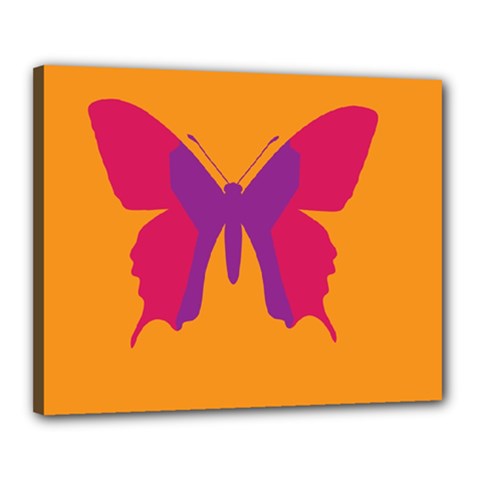 Butterfly Wings Insect Nature Canvas 20  X 16  (stretched) by Nexatart