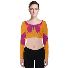 Butterfly Wings Insect Nature Velvet Long Sleeve Crop Top by Nexatart