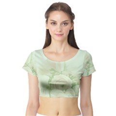 Pastel Roses Background Romantic Short Sleeve Crop Top by Nexatart