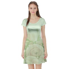 Pastel Roses Background Romantic Short Sleeve Skater Dress by Nexatart