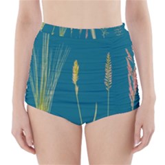 Grass Grasses Blade Of Grass High-waisted Bikini Bottoms by Nexatart