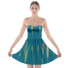 Grass Grasses Blade Of Grass Strapless Bra Top Dress by Nexatart