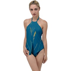 Grass Grasses Blade Of Grass Go With The Flow One Piece Swimsuit by Nexatart