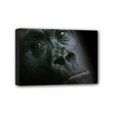 Gorilla Monkey Zoo Animal Mini Canvas 6  X 4  (stretched) by Nexatart