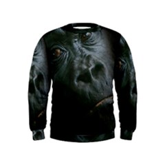 Gorilla Monkey Zoo Animal Kids  Sweatshirt by Nexatart