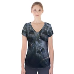 Gorilla Monkey Zoo Animal Short Sleeve Front Detail Top by Nexatart