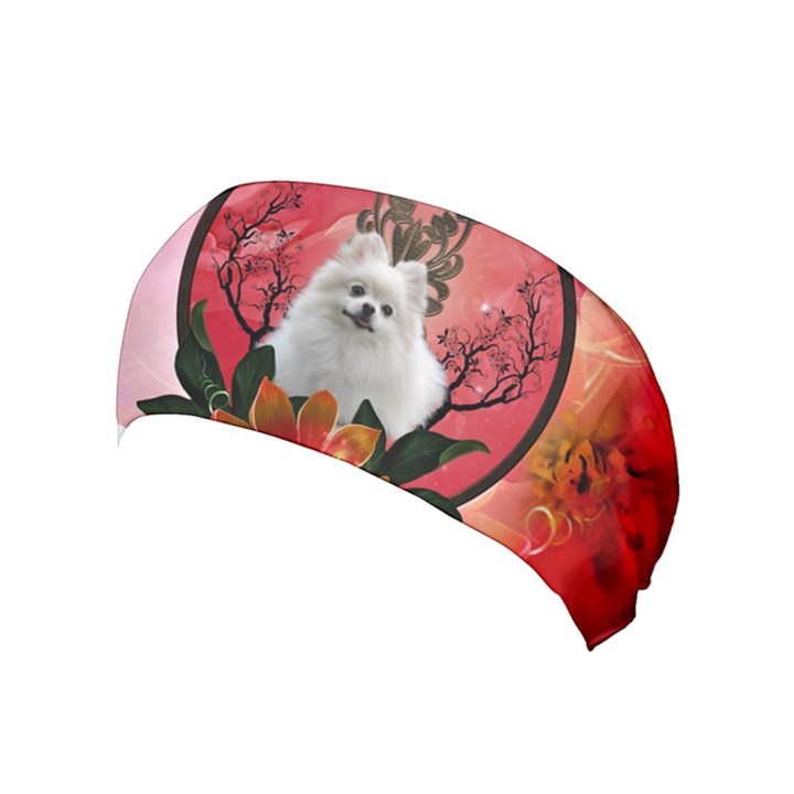 Cute Pemeranian With Flowers Yoga Headband