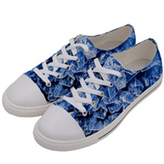 Cold Ice Women s Low Top Canvas Sneakers by FunnyCow