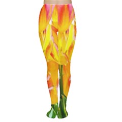 Festival Of Tulip Flowers Tights by FunnyCow