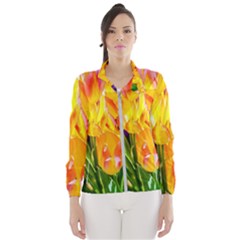 Festival Of Tulip Flowers Windbreaker (women) by FunnyCow