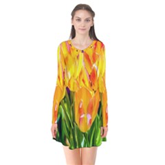 Festival Of Tulip Flowers Long Sleeve V-neck Flare Dress by FunnyCow