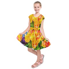 Festival Of Tulip Flowers Kids  Short Sleeve Dress by FunnyCow