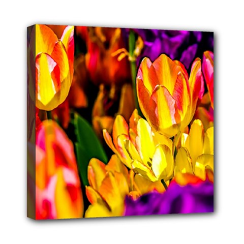 Fancy Tulip Flowers In Spring Mini Canvas 8  X 8  (stretched) by FunnyCow