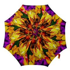 Fancy Tulip Flowers In Spring Hook Handle Umbrellas (medium) by FunnyCow