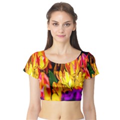 Fancy Tulip Flowers In Spring Short Sleeve Crop Top by FunnyCow