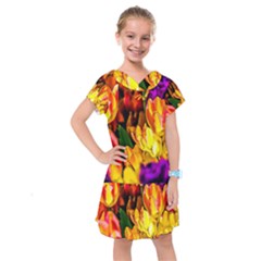 Fancy Tulip Flowers In Spring Kids  Drop Waist Dress by FunnyCow