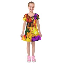 Fancy Tulip Flowers In Spring Kids  Short Sleeve Velvet Dress by FunnyCow