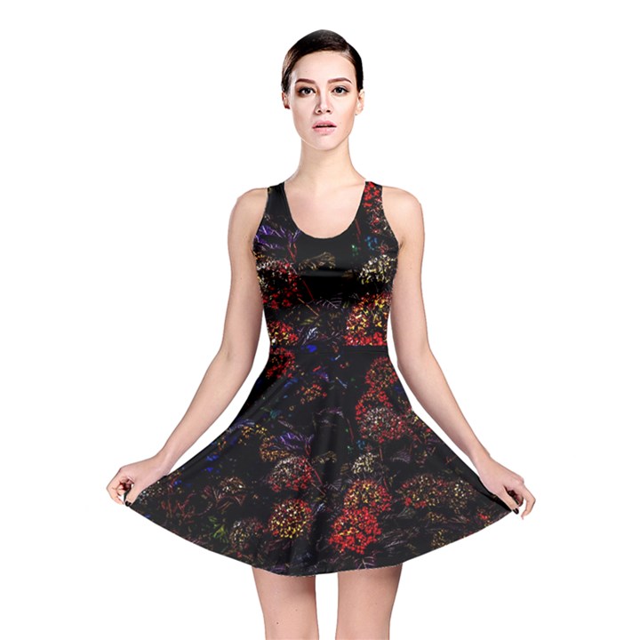 Floral Fireworks Reversible Skater Dress