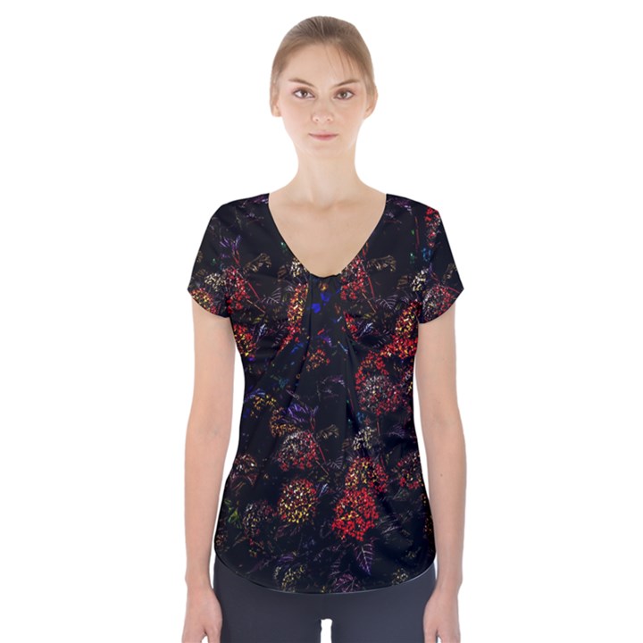 Floral Fireworks Short Sleeve Front Detail Top