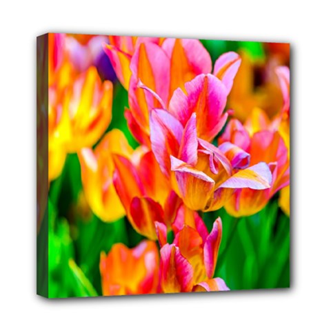 Blushing Tulip Flowers Mini Canvas 8  X 8  (stretched) by FunnyCow