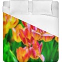 Blushing Tulip Flowers Duvet Cover (King Size) View1